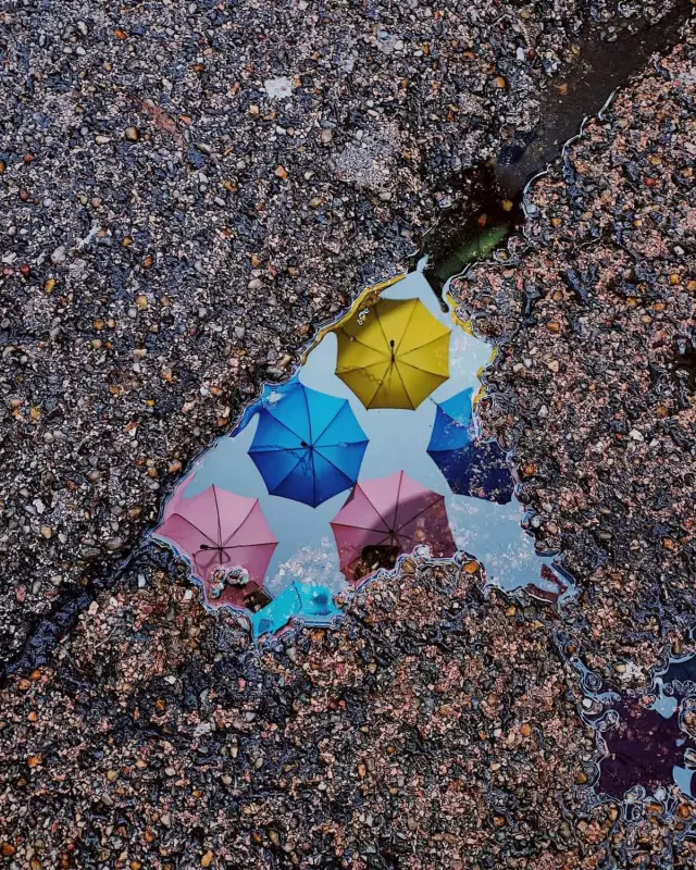 How a London Commuter's Spontaneous Photo Won a Major Photography Award