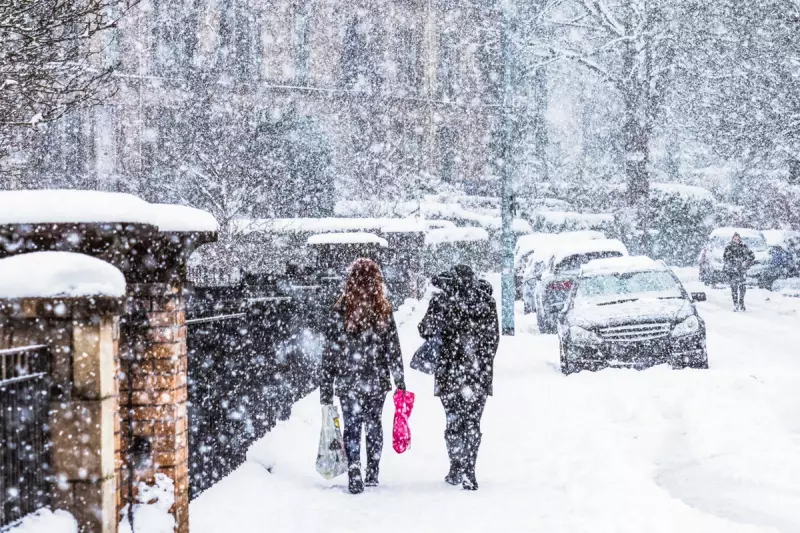 How Snowflakes Form: The Science Behind Winter's Unique Beauty