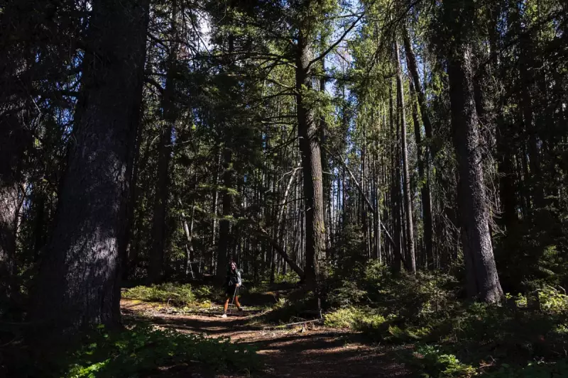 Jessica Guo: From Desk Job to 3,541-Mile Trailblazing Hike Record