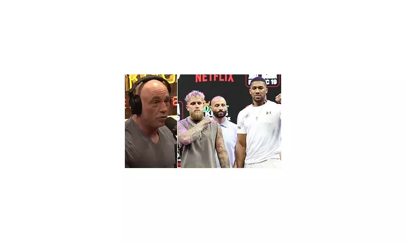 Joe Rogan's Brutal Prediction: Joshua Will 'F***' Paul With Right Hand