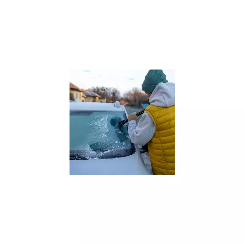 Keep Your Windscreen Ice-Free Overnight With This 35p Kitchen Staple