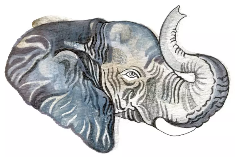 Kids' Quiz: Elephant Brains & Spiky Cacti Challenge Your Wits