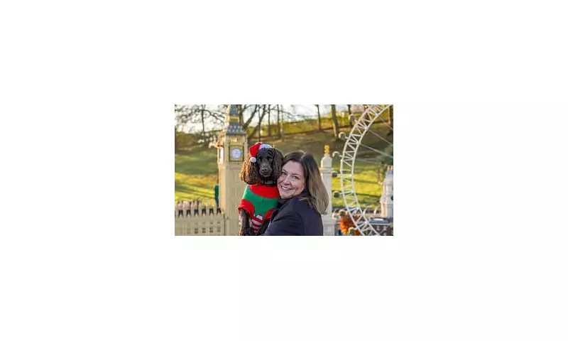 Legoland Windsor Welcomes Dogs for First Time on Select Christmas Dates