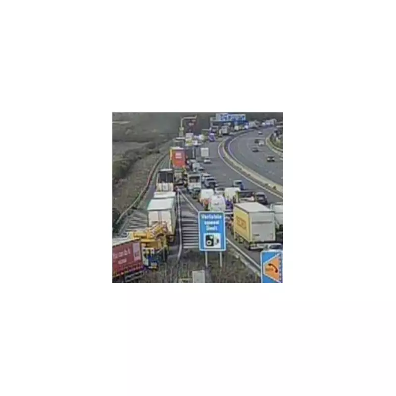 M4 Motorway Closed: Loose Horse Causes Major Travel Chaos