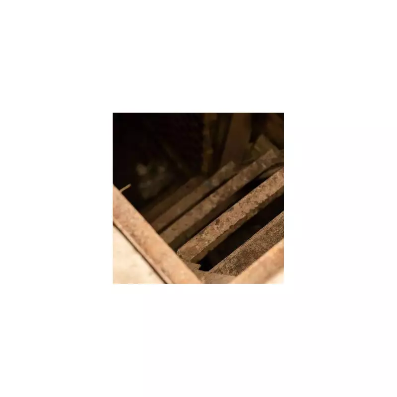 Man discovers hidden 1920s basement with secret tunnel in mountain cabin