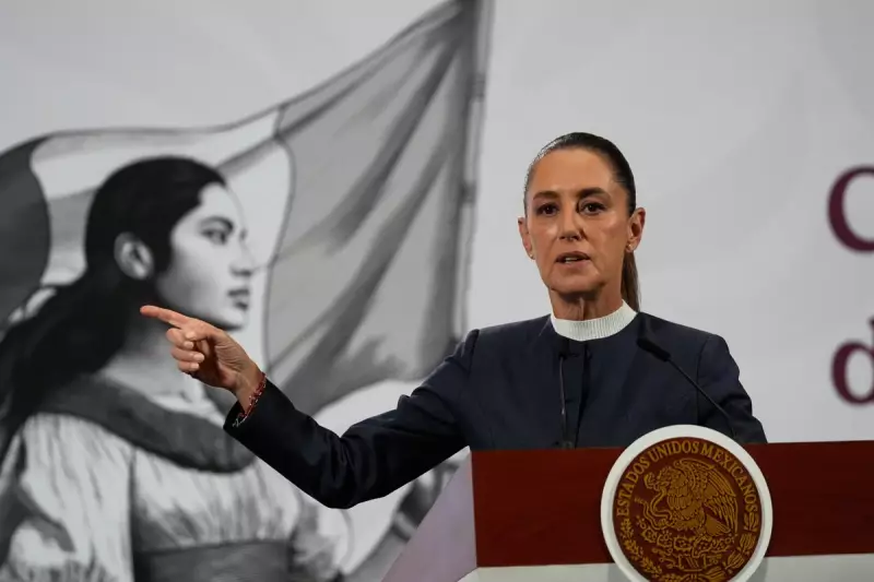 Mexico's First Female President Makes Shock Education Ministry Appointment