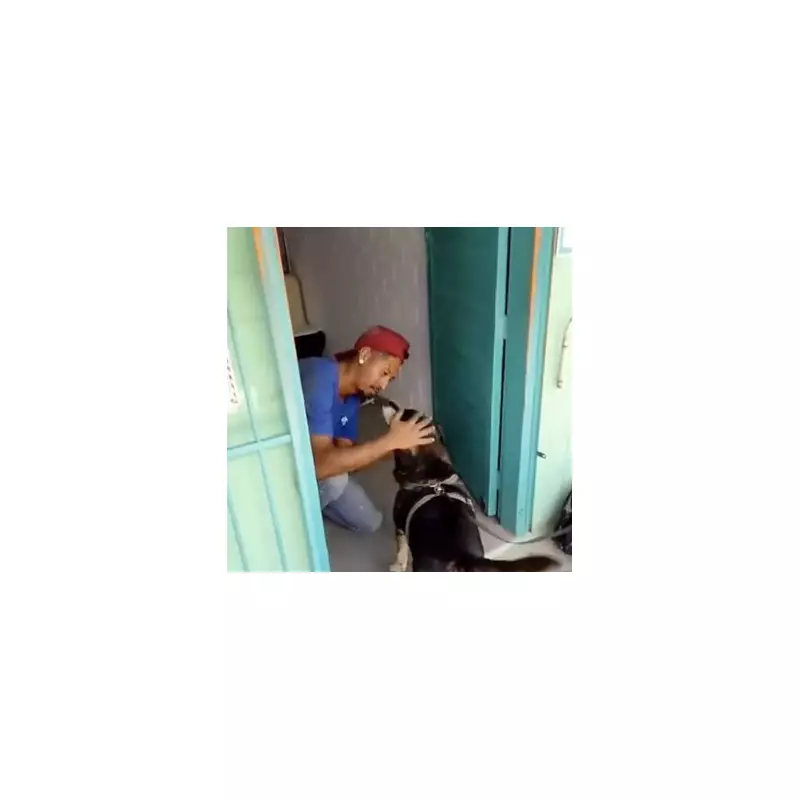 Miracle Reunion: Heartbroken Owner Finds Missing Dog After Five Years in Emotional Search