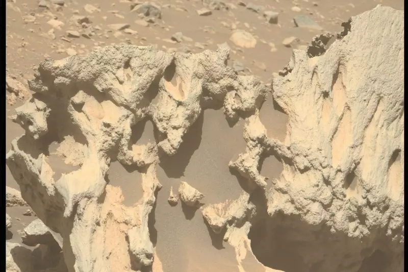 NASA's Perseverance Rover Finds Mysterious 'Sculpted' Rock on Mars
