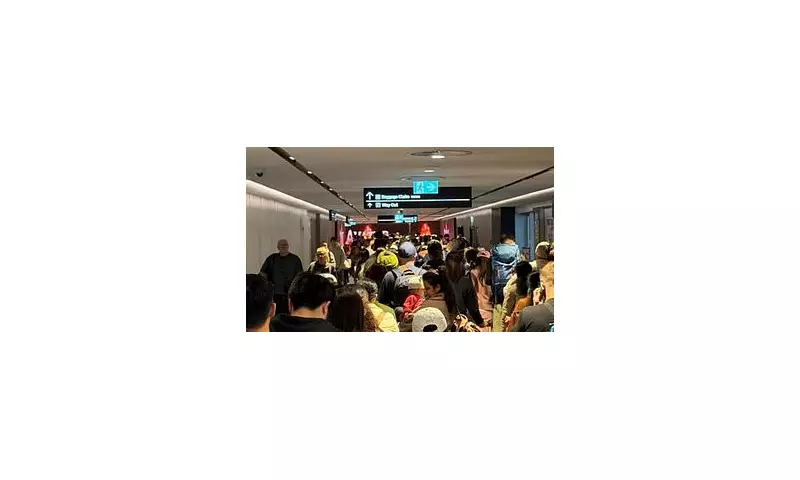 Nationwide Passport System Outage Causes Major Airport Delays