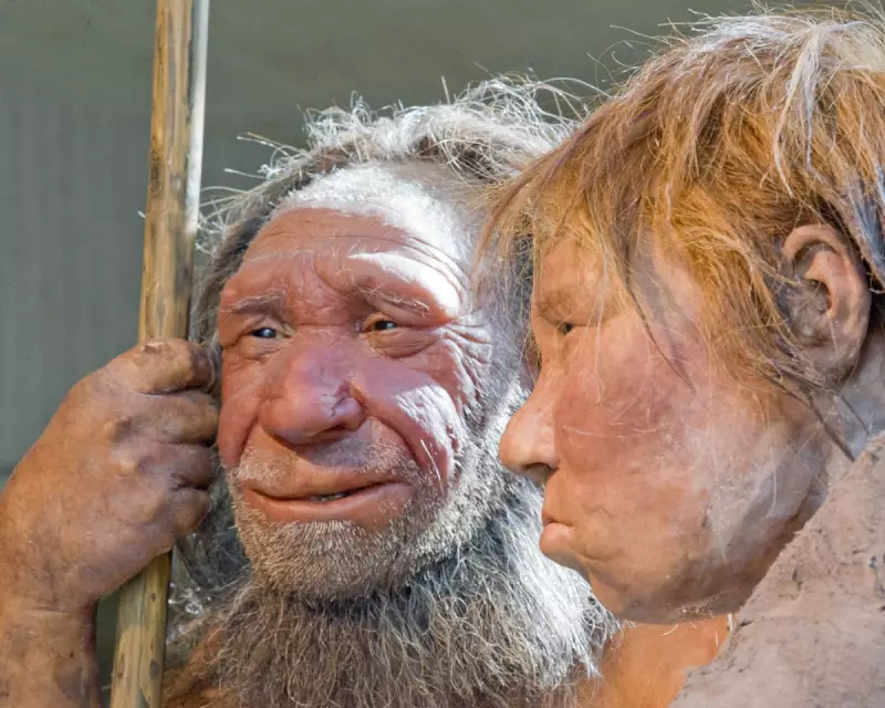 Neanderthals and Early Humans 'Kissed', Oxford Study Reveals