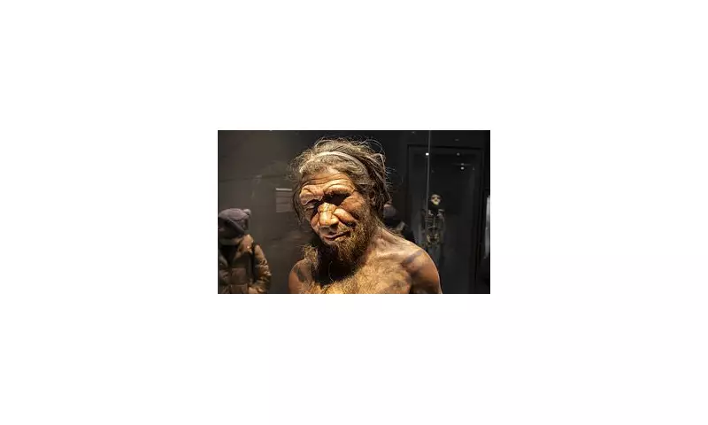Neanderthals Never Went Extinct, New Study Claims – They Were Absorbed
