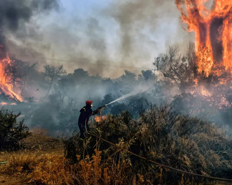 Net Zero Is a Dangerous Distraction From the Real Goal: Eliminating Fossil Fuels, Experts Warn