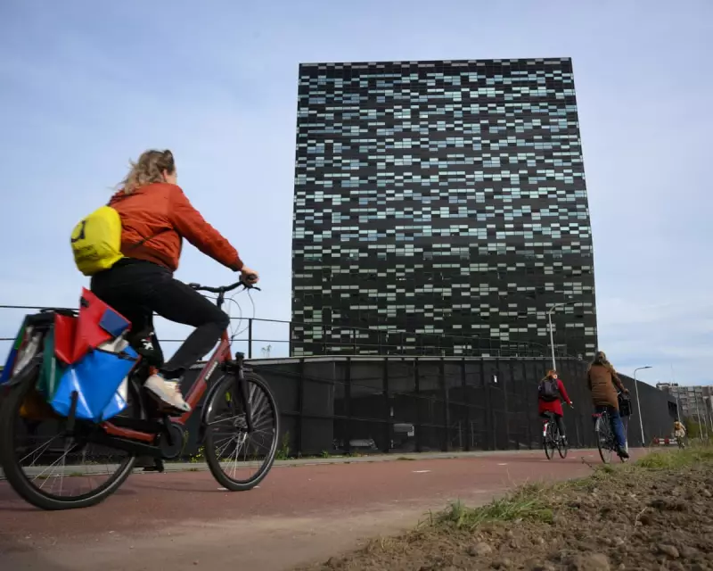 Netherlands Suspends Nexperia Seizure in Chip Dispute With China