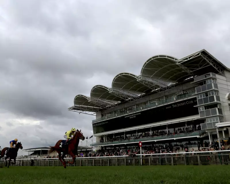 Newmarket Horse Owner Faces Council Complaint Over 'Constant Neighing'