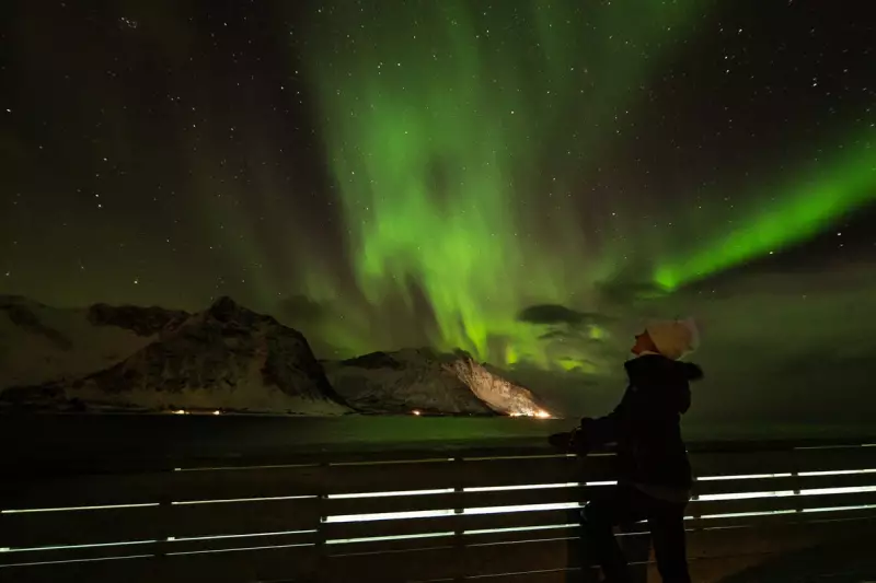 Northern Lights Cruises: The Ultimate Way to See the Aurora in 2026