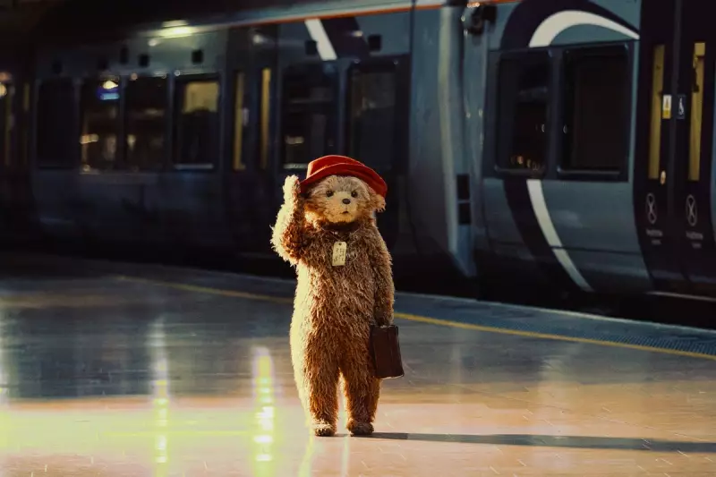Paddington Bear Takes West End By Storm: Magical New Musical Arrives in London