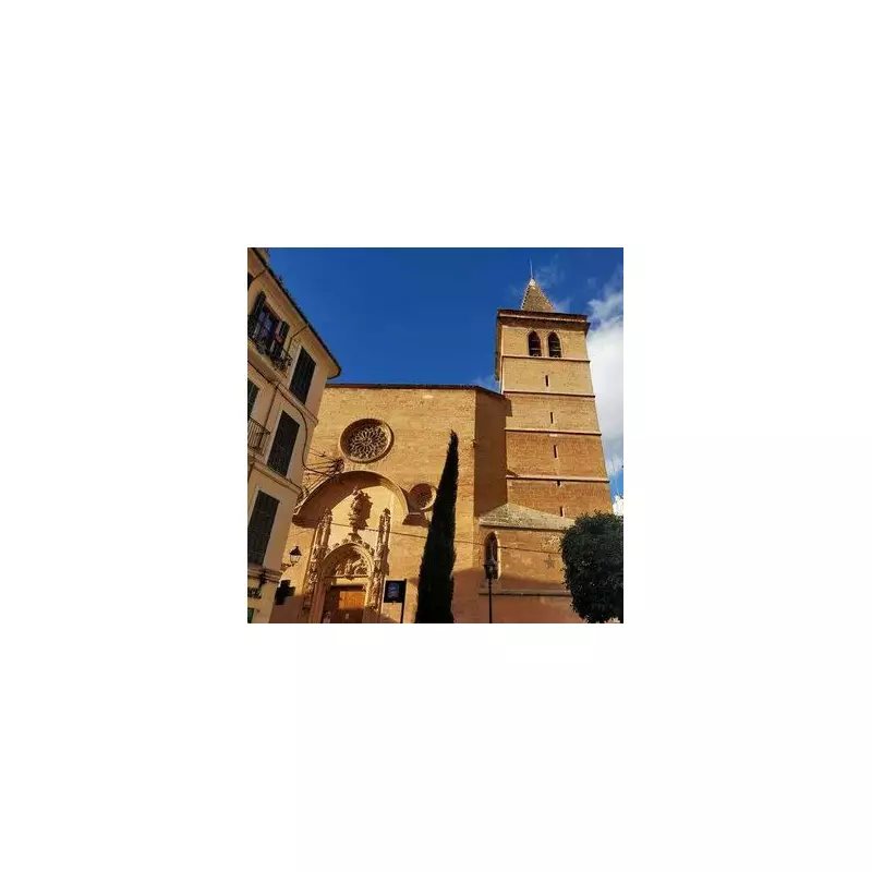 Palma's Anti-Tourism Anger: Why Locals Protest Overcrowded Summers