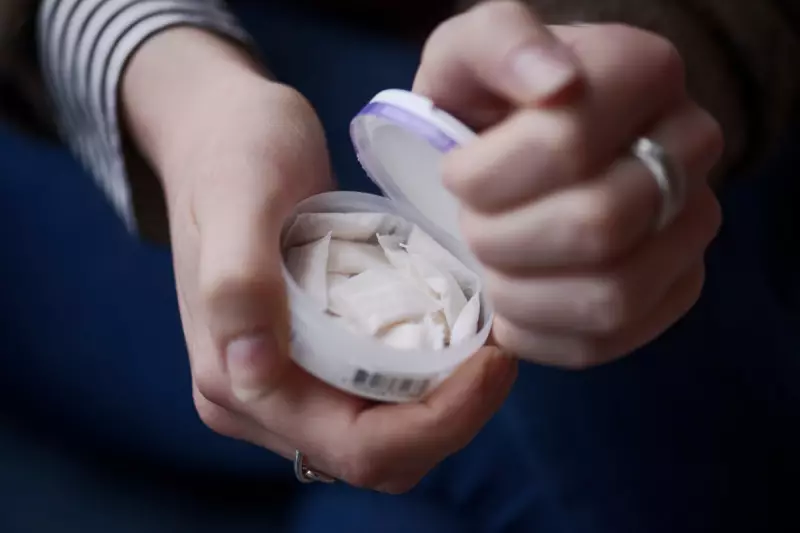 Parents Alert: The Hidden Dangers of Nicotine Pouches for Children Revealed