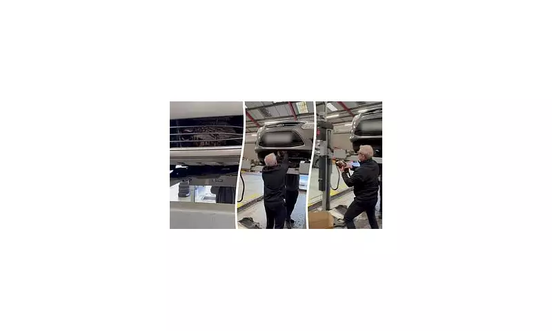 Pheasant's 24-Hour Ride in Car Grill Ends in Dramatic Cotswolds Rescue