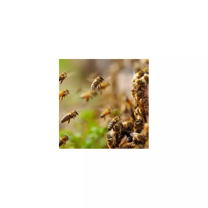 Plant 1 Bulb in November for a Bee-Filled Garden Next Spring