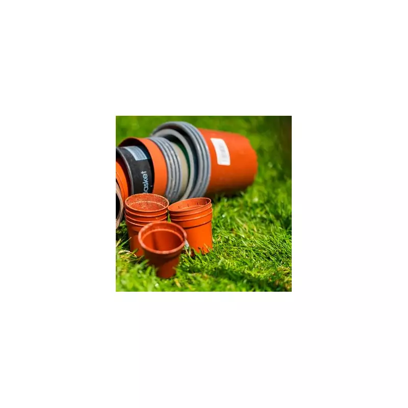 Plant Tulip Bulbs Now for Vibrant Spring Blooms or Wait Until Next Year