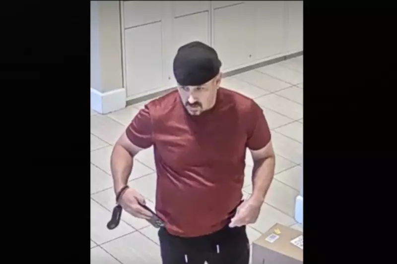Police Hunt Backstreet Boys Lookalike in California Package Theft