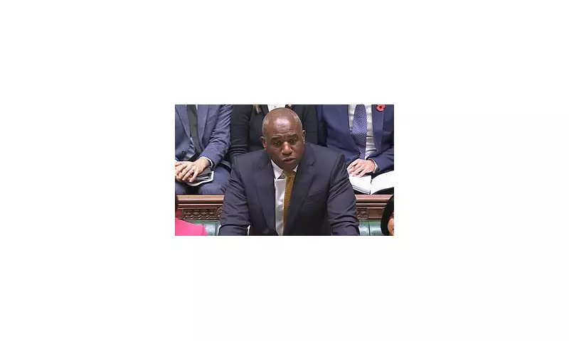 Remembrance Poppy Blunder: David Lammy's Commons Tribute Overshadowed by Missing Symbol