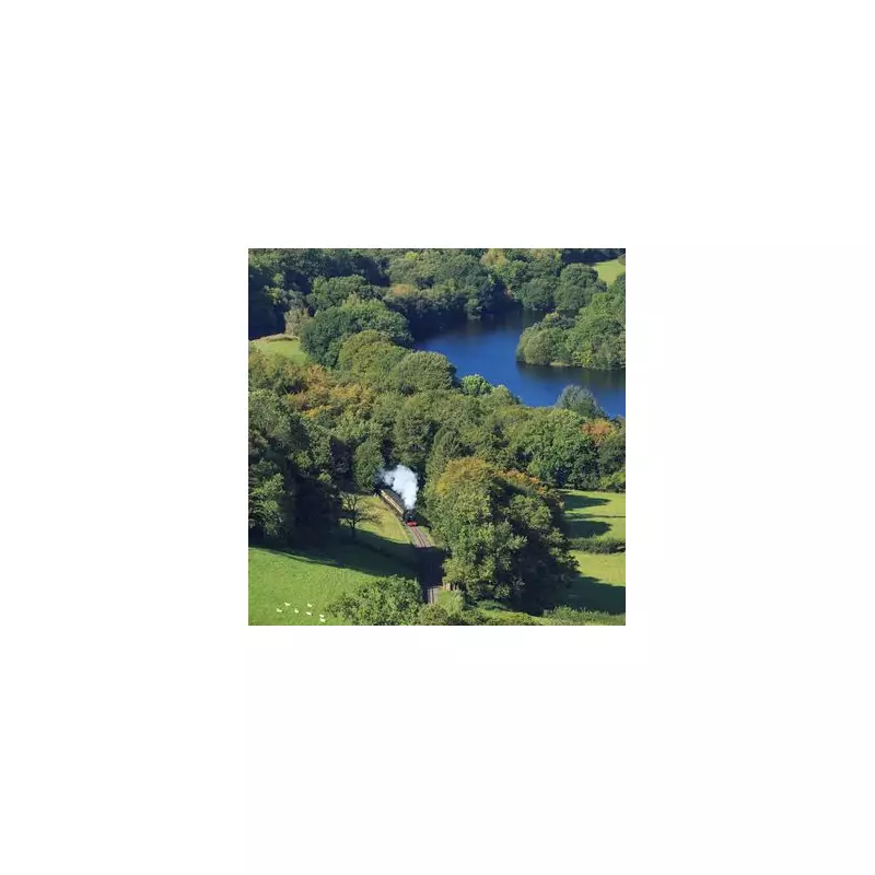 Rheidol Valley: Wales' Fairytale Woodland With Steam Trains & Waterfalls