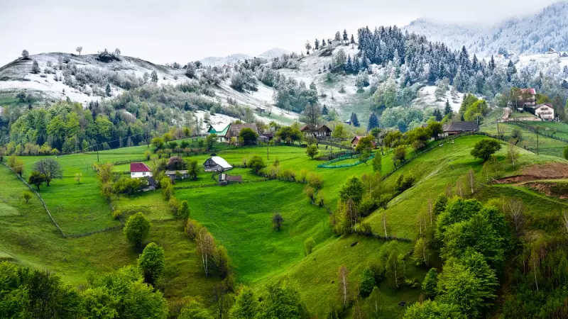 Romania's Recycling Revolution: From 1% to 94% in Two Years