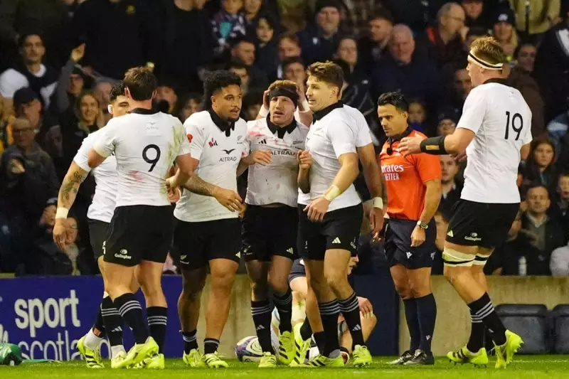 Scotland's Brave Fightback Falls Short in 25-17 Defeat to New Zealand