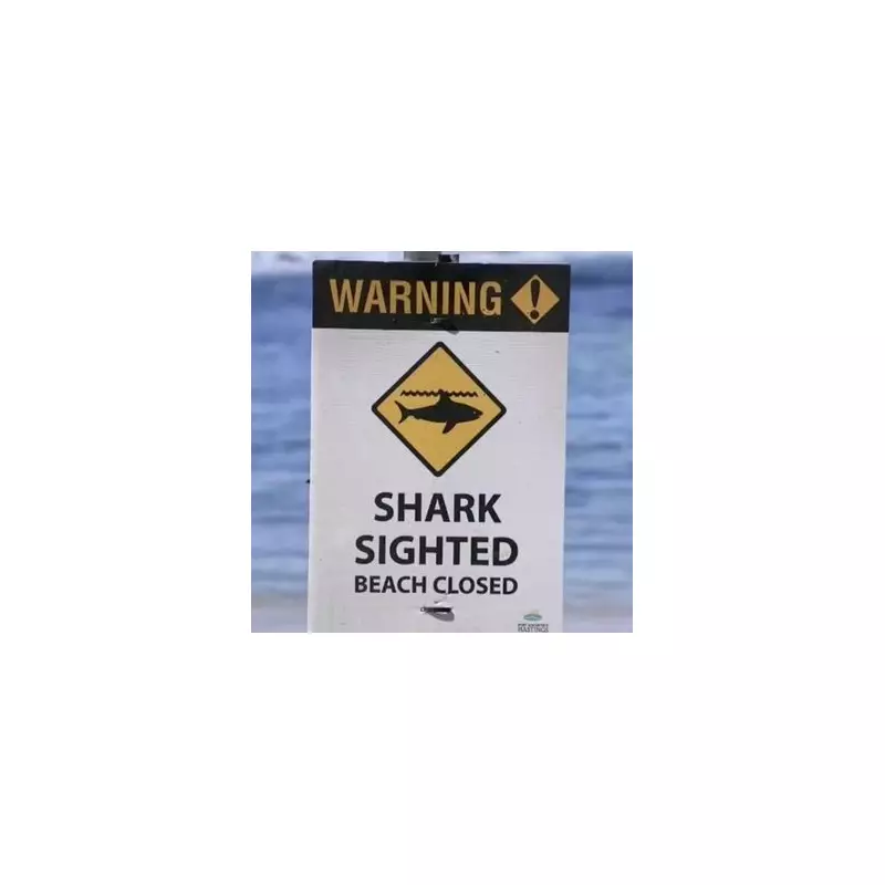 Shark Attack Kills Woman in 20s at Australian Beach