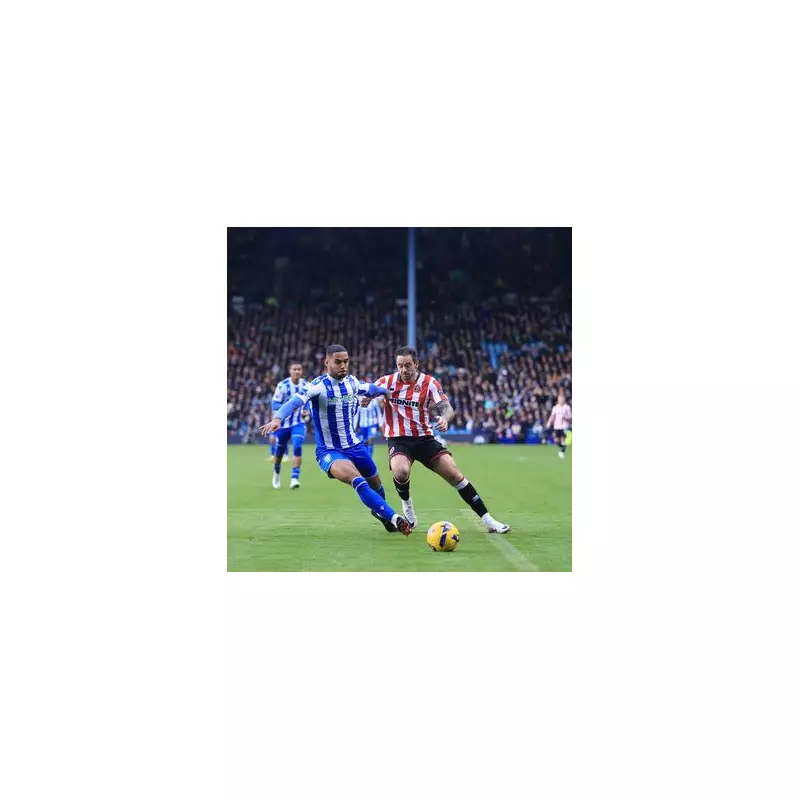 Sheffield United Owners Fail to Deny Wednesday Merger Claim as Ashley Bids