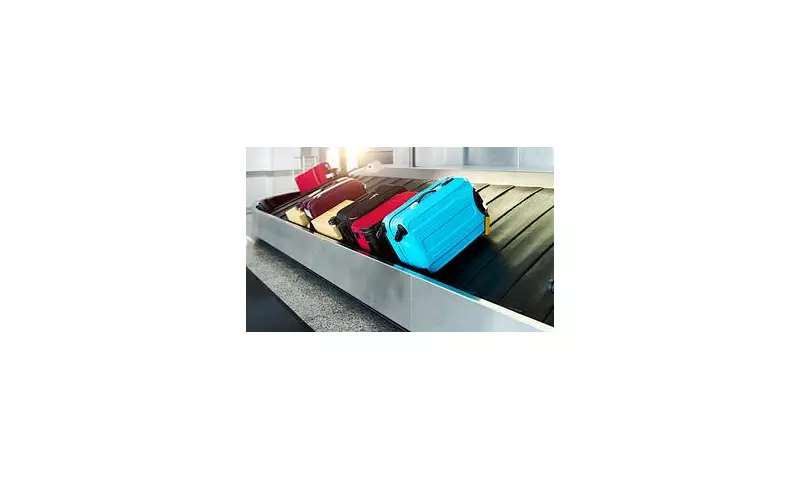 Skip Baggage Reclaim Queues With This Free Airport Hack