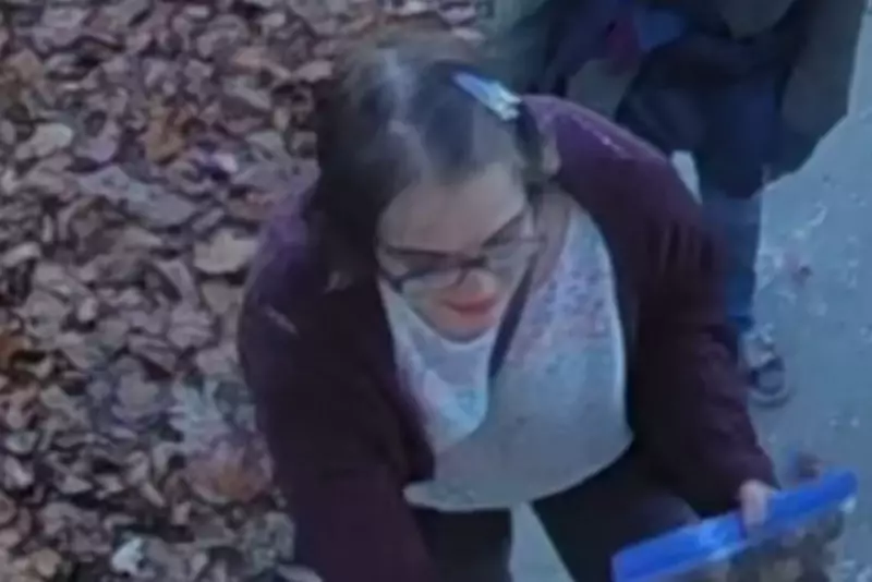 Slender Man Attacker Morgan Geyser Found 170 Miles From Wisconsin Group Home