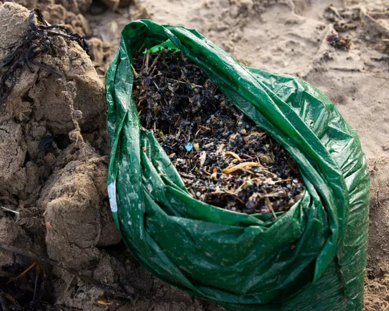 Southern Water's Plastic Biobead Spill Pollutes Camber Sands Coastline
