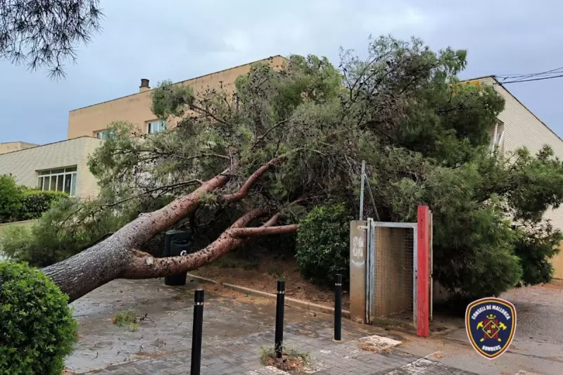Spain's Mediterranean Coast Battles Catastrophic Floods: Flights Cancelled and Tourists Evacuated
