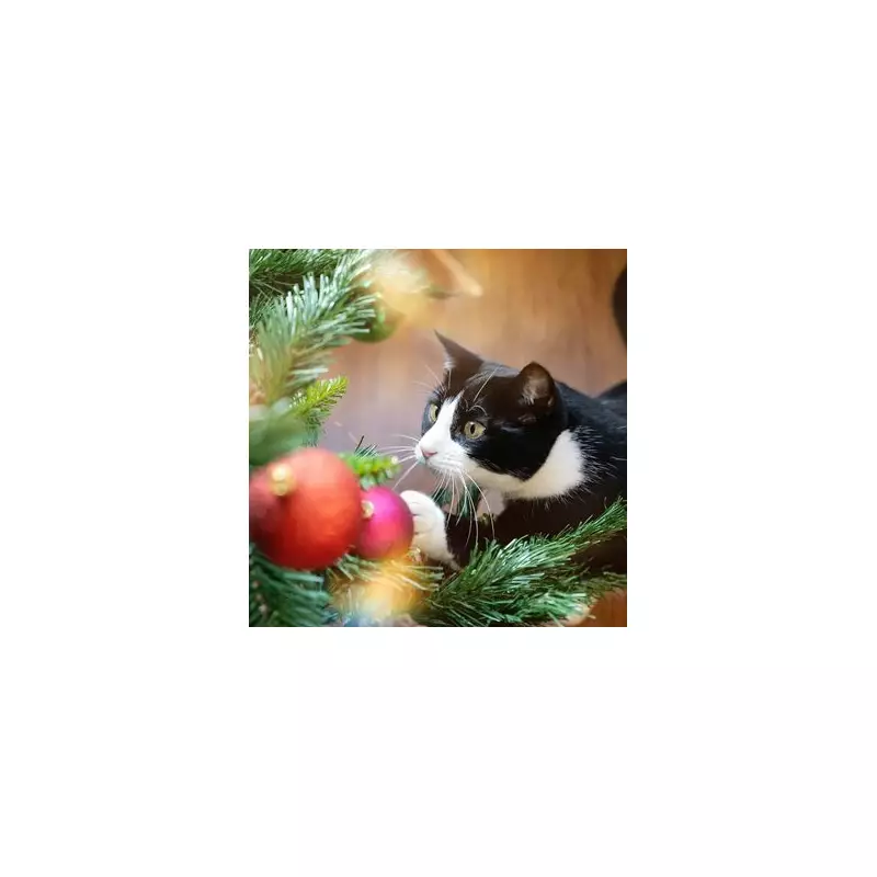 Stop Cats Climbing Your Christmas Tree With 1 Simple Ornament Change