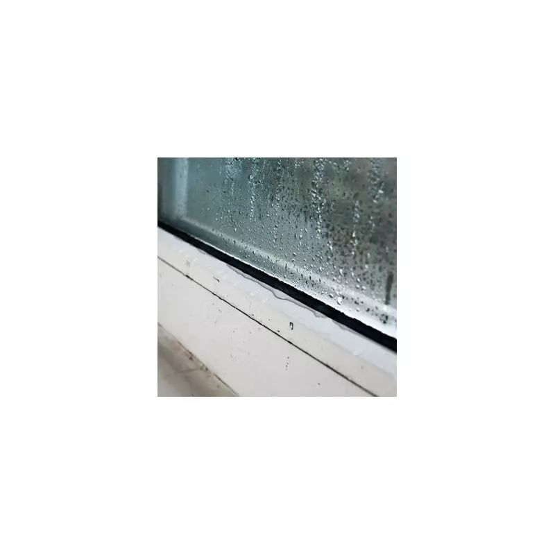 Stop Window Condensation with Cat Litter: The Unusual UK Hack