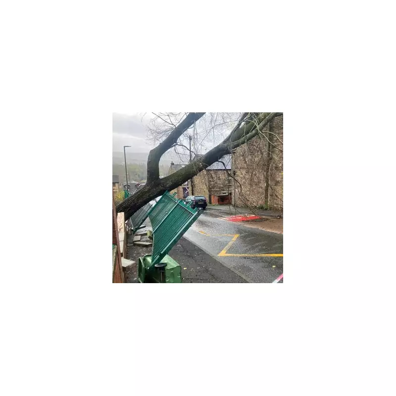 Storm Claudia: Huge Tree Crashes Into Tameside House