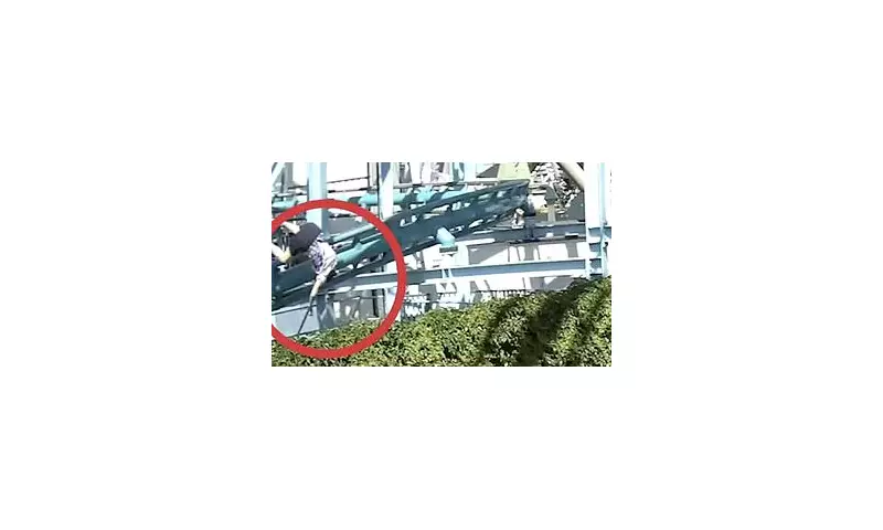Sweden Rollercoaster Tragedy: Woman Plunged 20ft in Fatal Accident