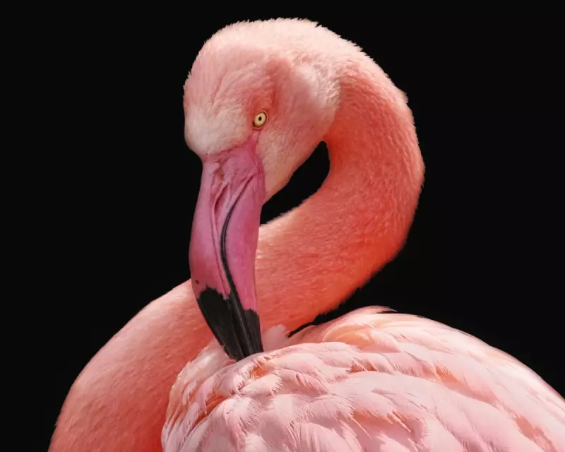 Test Your Wits! The Ultimate Guardian Thursday Quiz Awaits Your General Knowledge