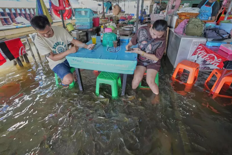 Thai Restaurant's Flooded Dining Room Delights Customers with Swimming Fish