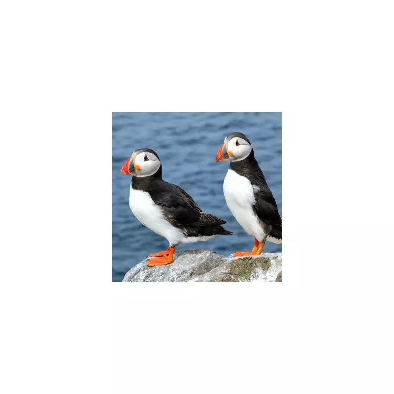 TikTok's 'Bird Theory' Test: Can It Predict Your Relationship's Future?