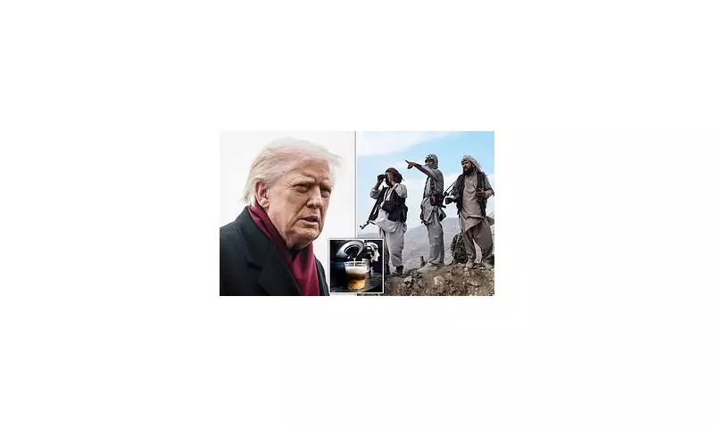 Trump Shares Controversial Post on Afghan Immigrants After DC Shooting