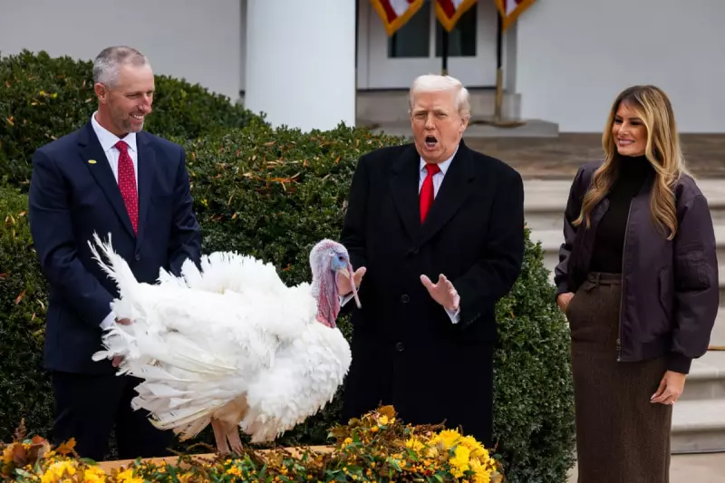 Trump's Turkey Pardon Chaos: Jokes Fall Flat in Bizarre White House Spectacle