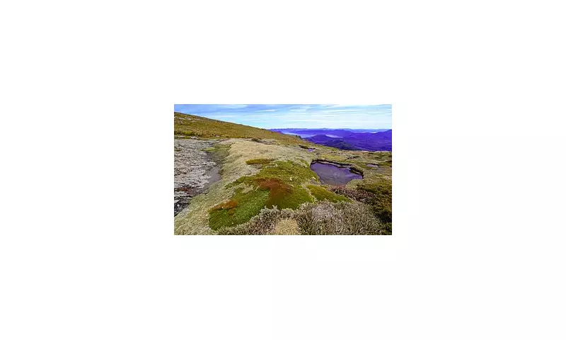 Two Women Rescued From Mount Anne After Overnight Stranding