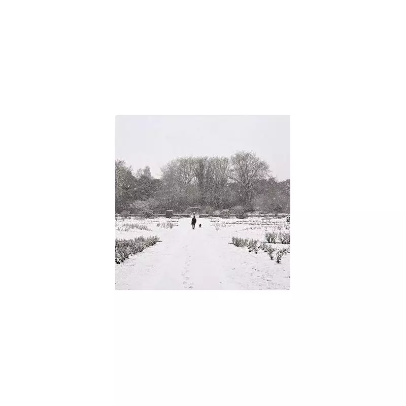 UK Snow Alert: 7 Essential Items Every Household Needs for Winter Storms