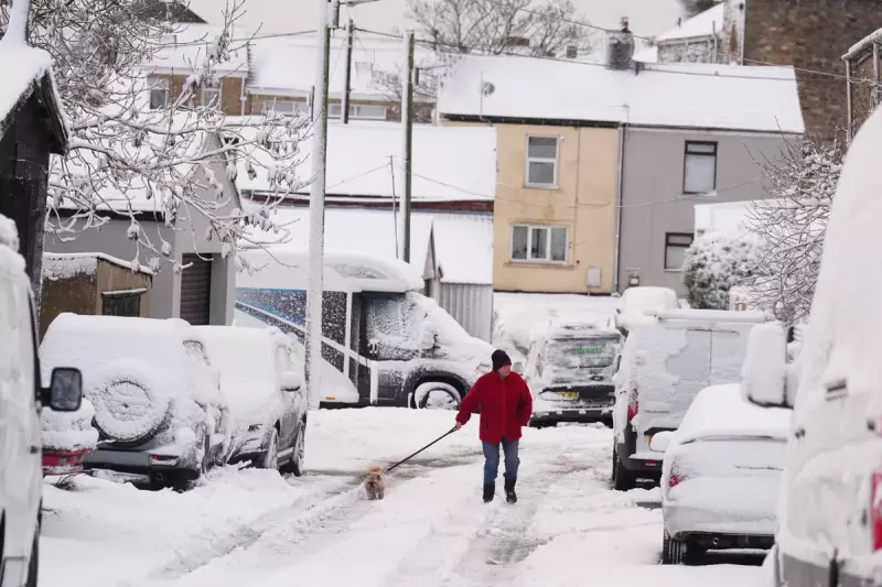 UK Snowfall: 7cm Blankets Parts of Britain as Wintry Conditions Continue