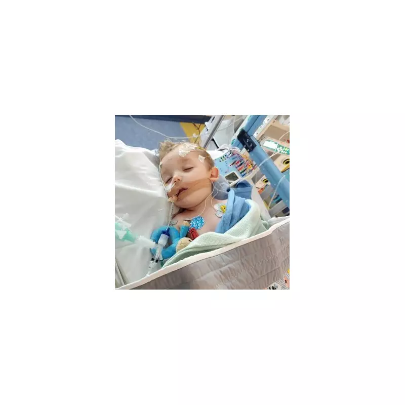 UK Toddler's World-First Genetic Condition Sparks £14k Cure Quest