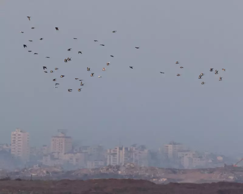 UN Passes Historic Gaza Resolution Granting Trump Control via 'Board of Peace'